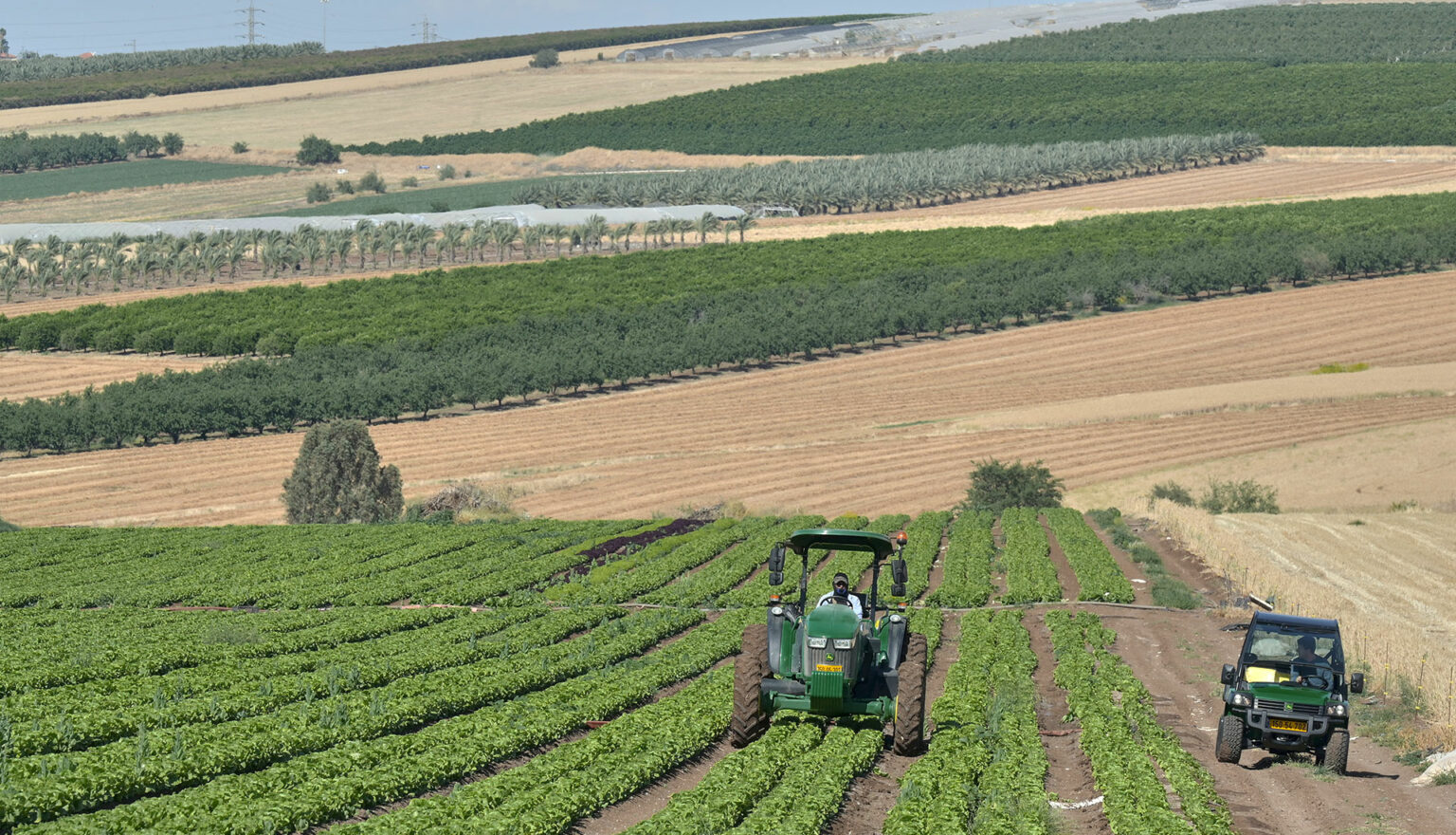 AGRICULTURE IN THE DESERT - THE FURROW
