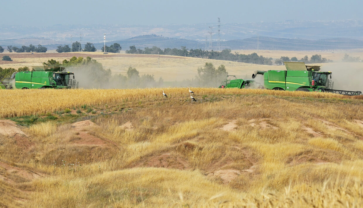 Farming In Israel AGRICULTURE IN THE DESERT - THE FURROW